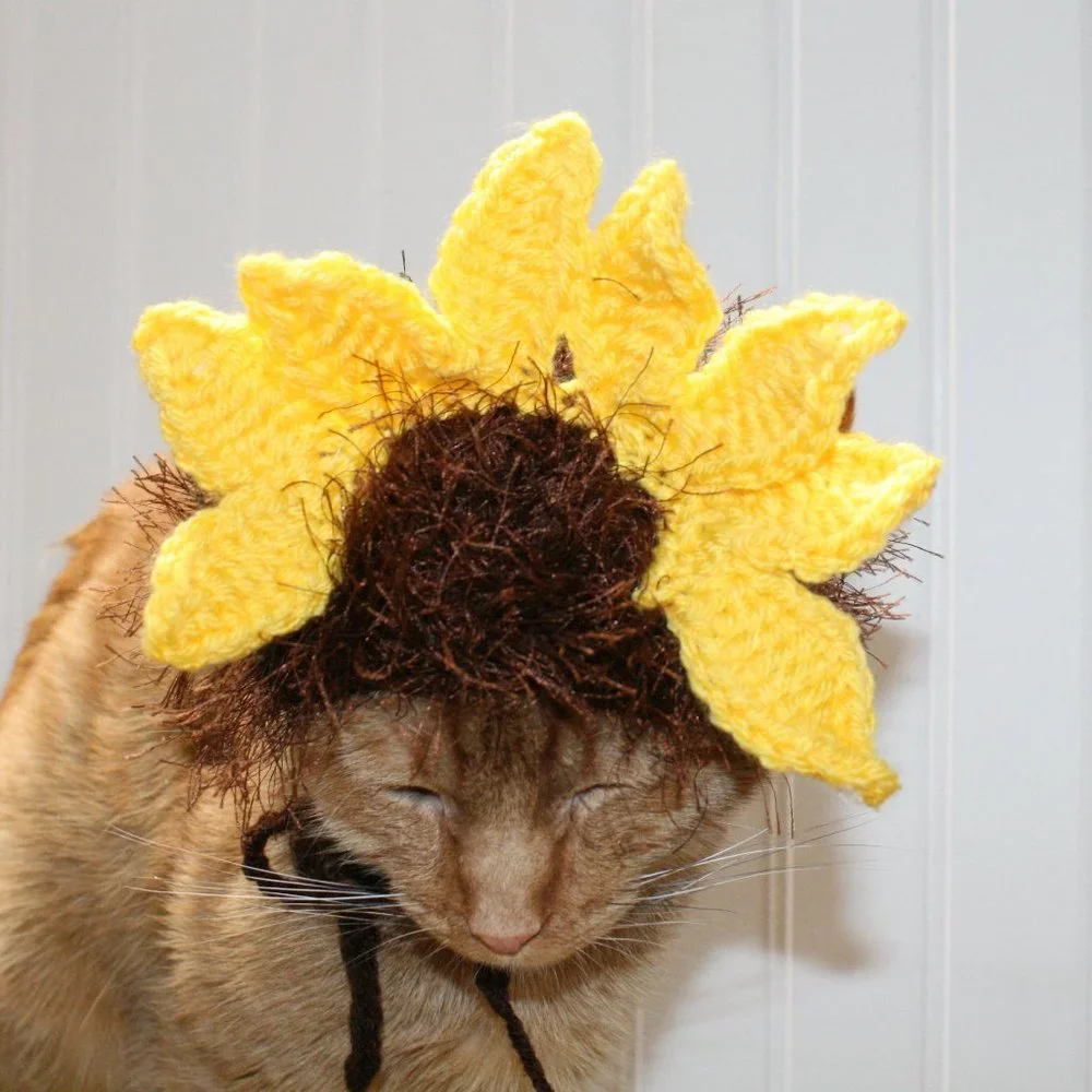 HAND CRAFTED Floral Sunflower Cat Hat Crochet Hairy Wig Costume Photo Prop - Picture 4 of 12